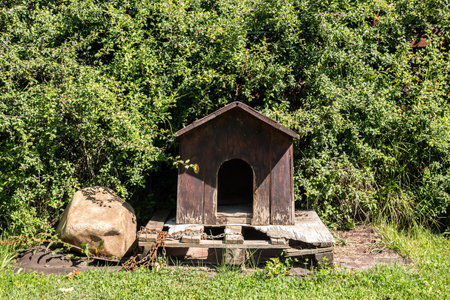 Old wooden dog house in the green garden on a sunny summer dayの写真素材