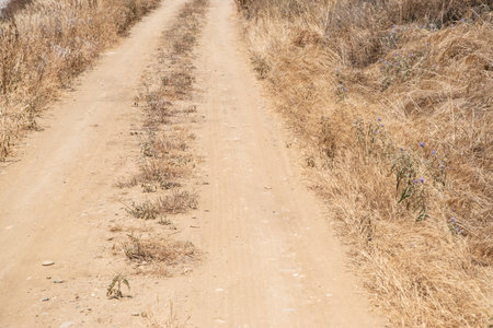 Dirt road in the countryside by seashore with dry grass on the ground on sunny summer dayの写真素材