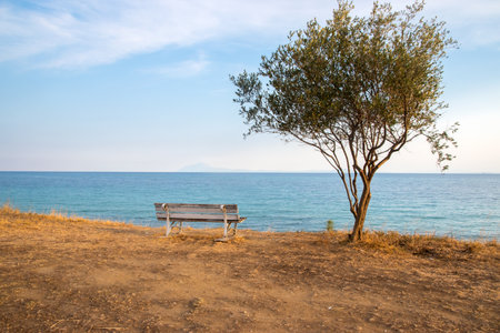 Idyllic landscape with tree and bench in the background of a sea bay at sunsetの写真素材