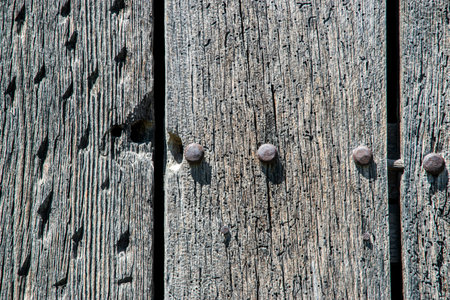 Old wooden door with nails, close-up. Background texture.