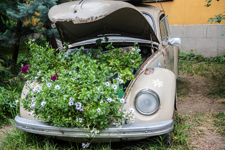 Vintage car with flowers in the garden, closeup of photo