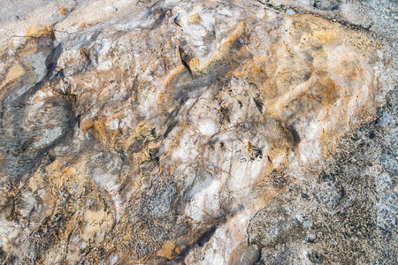 Close-up of rock texture submerged in clear sea water, reflecting sunlight. Beautiful natural summer...