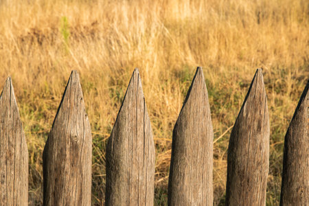 Weathered rural fence lit by warm evening sunlight, creating a natural countryside atmosphere with soft golden tonesの写真素材