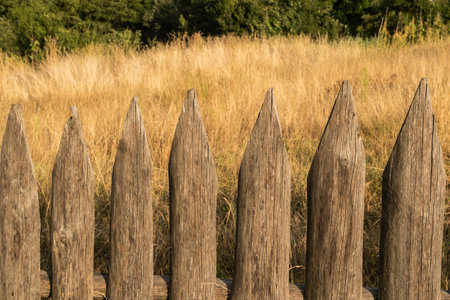 Weathered rural fence lit by warm evening sunlight, creating a natural countryside atmosphere with soft golden tonesの写真素材
