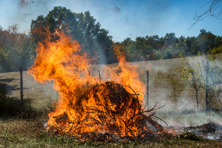 Large burning pile of dry branches during seasonal yard cleanup, with bright flames and smoke against clear blue skyの写真素材