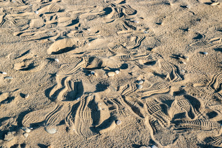 Multiple human footprints on sandy beach surface near sea horizon symbolizing travel, tourism...
