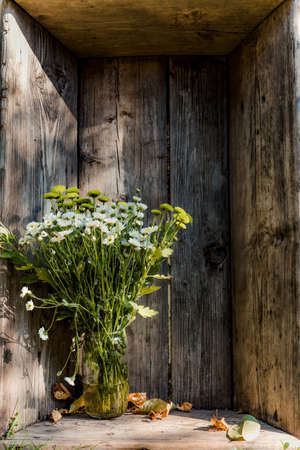 Flowers in glass vase in wooden frame, autumn timeの写真素材