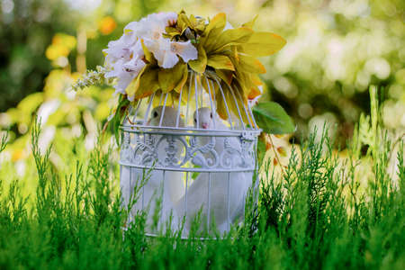 White pigeon looking through the wedding decorational metallic cageの写真素材