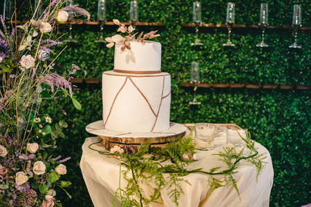 Birthday white cake in interior decorated with natural elements and glassesの写真素材
