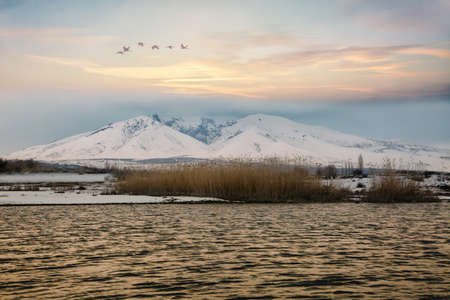 Winter landscape with little lake, mountain and flying birds during the sunsetの写真素材
