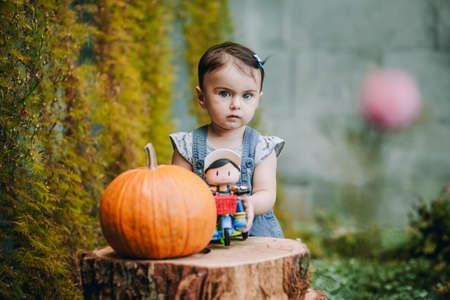 Adorable amazed baby girl with her toy and decorative stomps and pumpkin looking at someoneの写真素材