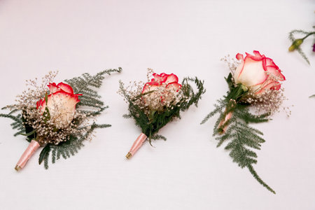 Three tiny roses as wedding ornaments on white backgroundの写真素材