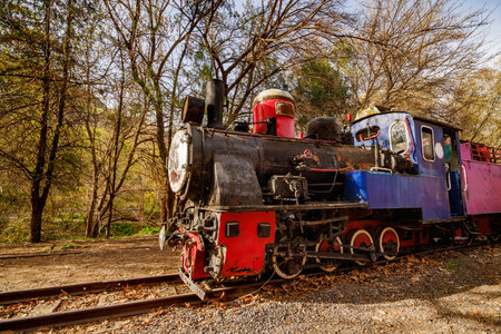 Vintage locomotive on forest railway tracks, antique train with red wheelsの写真素材