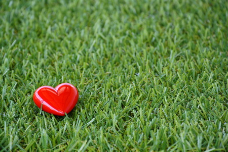 red heart on the grass background , copy spaceの写真素材