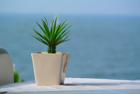 ceramic Flower pot on the table by the sea, copy spaceの写真素材