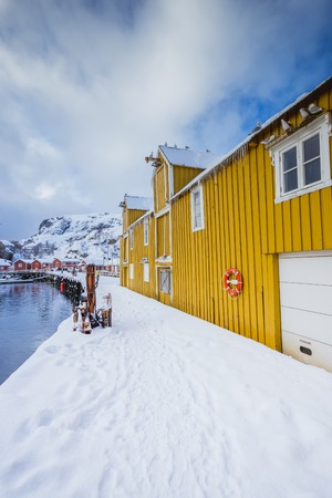 Very beautiful bay in the sea with yellow houses on the coast, winter time, seagulls fly in the foreground and wonderful nature in Norway on the Lofoten Islandsの写真素材
