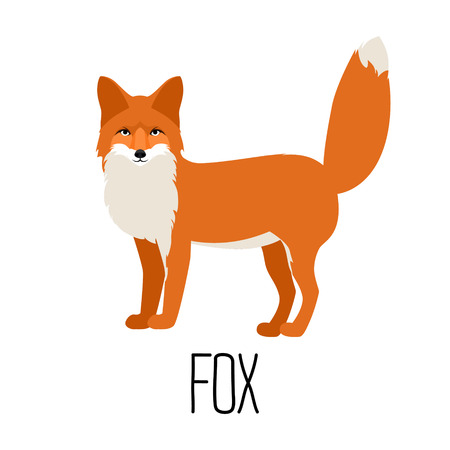 Cartoon Vector illustration of cute cartoon fox isolatedのイラスト素材