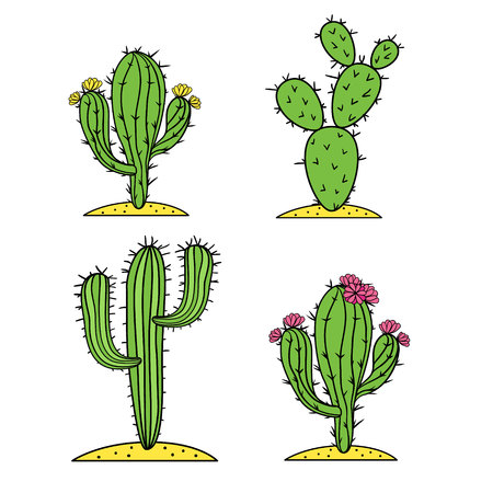 Cute desert cactus vector set with flowers.のイラスト素材