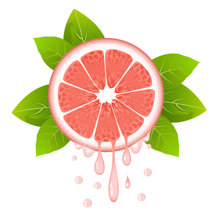 Realistic grapefruit slice with leaves and drops of juice. Juicy fruit. Fresh citrus design on white background vector illustrationのイラスト素材