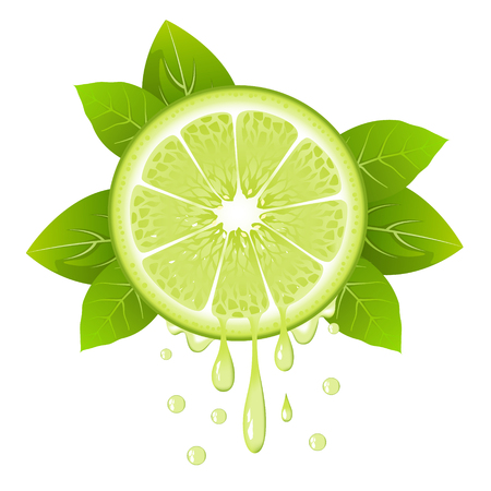 Realistic lime slice with leaves and drops of juice. Juicy fruit. Fresh citrus design on white background vector illustrationのイラスト素材