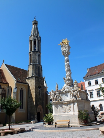 Goat The Gothic Church in Sopron, Hungaryの写真素材