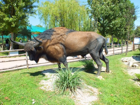 Picture from an ancient aurochsのeditorial素材