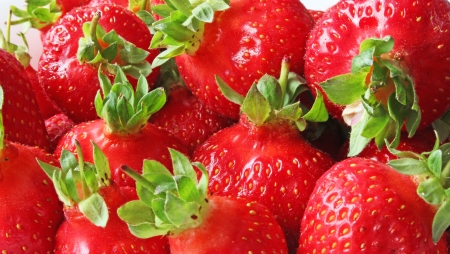 Fresh strawberry isolated on white backgroundの写真素材