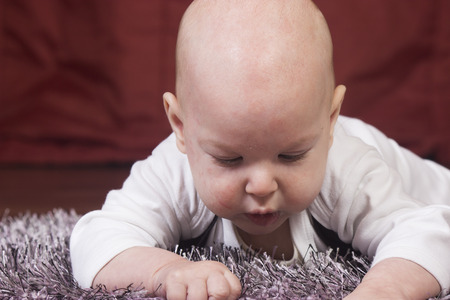 Adorable cute little boy - child photographyの写真素材