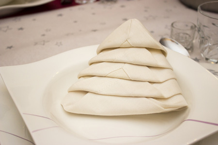 Tree shaped napkin in a plate - object photographyの写真素材