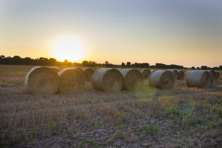 Sunset with harvested field with straw bales in summer