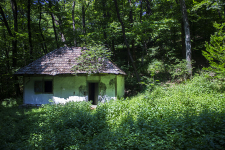 Abandoned house deep in the forestの写真素材