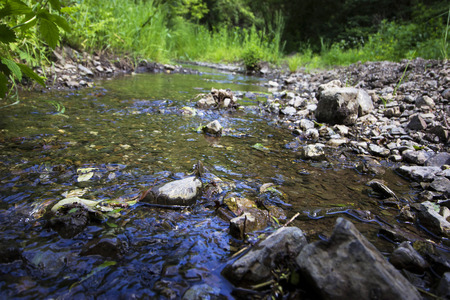 Creek deep in the forest - outdoor photographyの写真素材