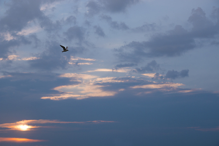 Sunset in the summer - outdoor photographyの写真素材