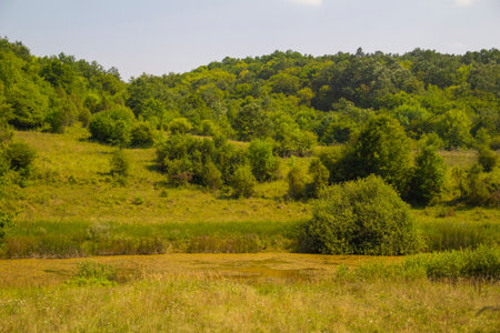 The Red lake, Hungary, Josvafo â near the National Park of Aggtelekの写真素材