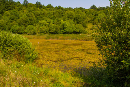 The Red lake, Hungary, Josvafo â near the National Park of Aggtelekの写真素材