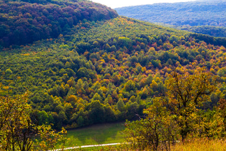 Beautiful Hungarian landscape in the autumnの写真素材