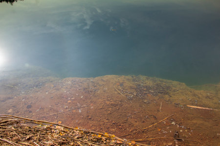A picture from a surface of a lake - detail photographyの写真素材