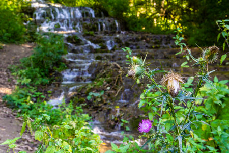 Veil waterfall, Hungary, Szalajka valley - outdoor photographyの写真素材