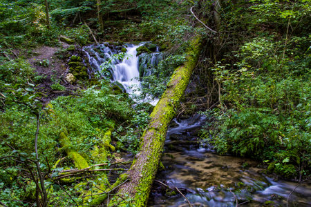 Small waterfall in the woods - nature photographyの写真素材
