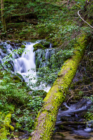 Small waterfall in the woods - nature photographyの写真素材