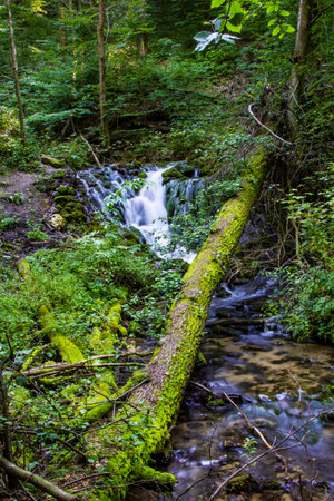 Small waterfall in the woods - nature photographyの写真素材