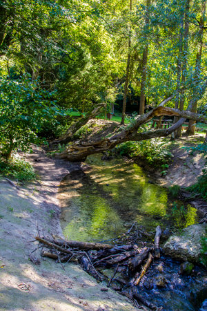 Creek in the woods in Hungary - outdoor photographyの写真素材