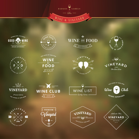 Set of vintage style elements for labels and badges for wine, vineyard, wine club and restaurant, on the vineyard backgroundのイラスト素材