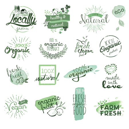 Organic food badges and elements. Hand drawn watercolor vector illustration set for food and drink, restaurant, natural products.のイラスト素材