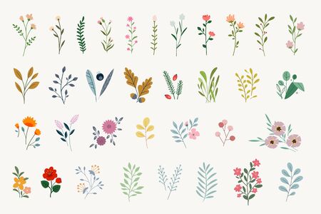 Set of floral elements for graphic and web design.のイラスト素材