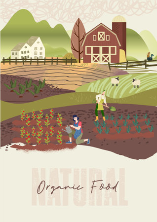 Organic farming, agriculture and gardening. Vector illustration for poster, brochure cover, background, business presentation, marketing material for food market and restaurants.のイラスト素材