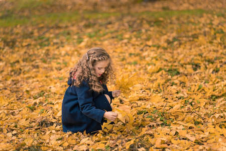 Excited cheerful girl drop up leaves, joyful with beautiful autumn colors. Girl sitting in autumn with falling leaves wondering about something and looking at cameraの写真素材