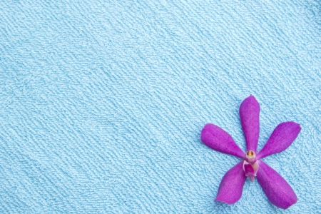 orchid on towel の写真素材