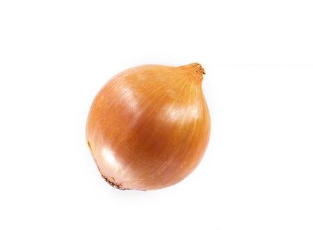 Onion Isolated on whiteの写真素材