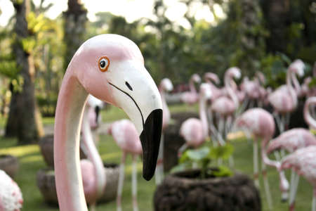 Flamingo model in Nongnooch gardenの写真素材